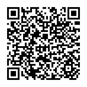 QR Code for Planning a Forest Inventory