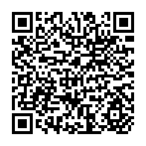 QR Code for Planning a Forest Inventory