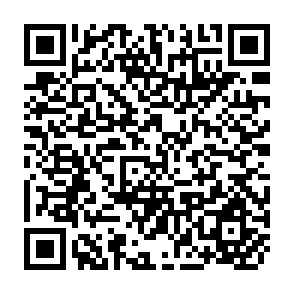QR Code for The Political Economy of Participation in Local Development Programs: Short-Term Impasse & Long-Term Change in South Asia and the United States from the 1950s to the 1970s
