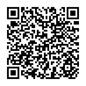 QR Code for Provincial Indicative World Plan for Agricultural Development- A Synthasis and Analysis of Factors Revelent to World, Regional and National Agricultural Development Volume II