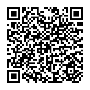 QR Code for World Land Reform Conference