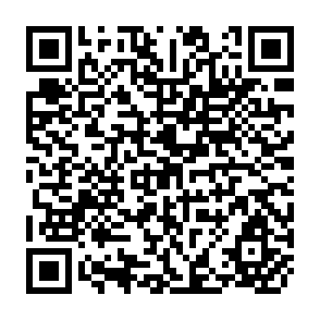 QR Code for The Economic Development Of Italy's Rural Areas The Most Advantageous Scale And Location