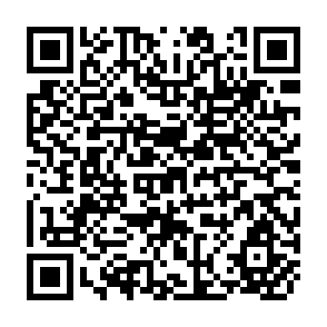 QR Code for I.S.S. Occasional Papers