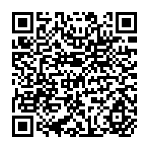 QR Code for Interpreive Synthesis and Policy Implications of Land Tenure Center and Related Research