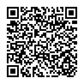 QR Code for Insuarance Programs and Agricultural Credit