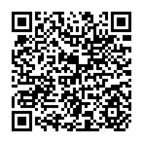 QR Code for Report of the Expert Group Meeting on Agricultural Machinery Industry in Developing Countries