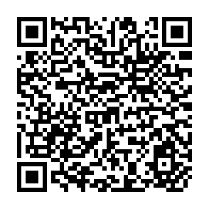 QR Code for The Great Tabu: A Half Century Of Population And Family Planning Communication