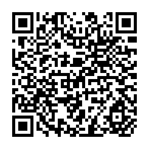 QR Code for Training for Development a report of the world bank's economic development institute