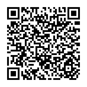 QR Code for Reflections on the Comilla Rural Development Projects