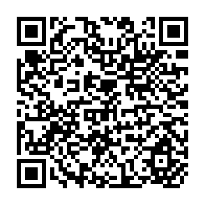 QR Code for Devoloping Social Policy in Conditions of Rapid Change- Role of Social Walfare