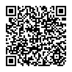 QR Code for Green Revolution?