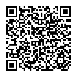 QR Code for Labour Force Estimates and Projections 1950-2000