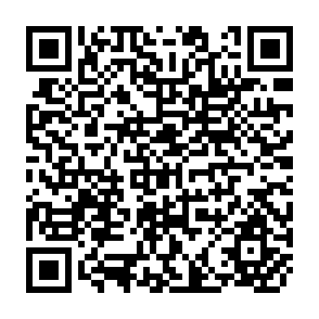 QR Code for Labour Force Estimates and Projections 1950-2000