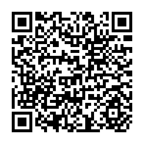 QR Code for Perception