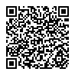 QR Code for Against the Stream