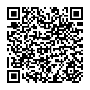 QR Code for Corporations and Society