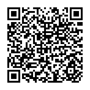 QR Code for Land Concentration and Rural Poverty
