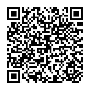 QR Code for Land Concentration and Rural Poverty