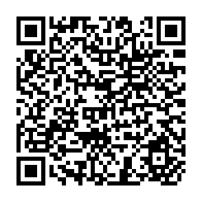 QR Code for Social Hierarchy and Dominance