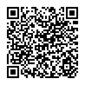 QR Code for Elections and Political Development