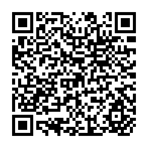 QR Code for Labour Input and the Theory of the Labour Market