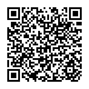 QR Code for Problems in Linear and Non-Linear Programming