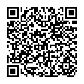 QR Code for The farm and the Village