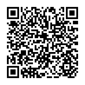 QR Code for Sociological Theories in Progress Volume Two