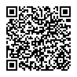 QR Code for Sociological Theory