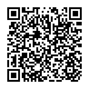 QR Code for Introductory Readings on Sociological Concepts,Methods, and Data