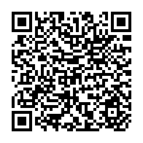 QR Code for Agricultural policies at different levels of development