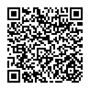 QR Code for The Strategy of International Development