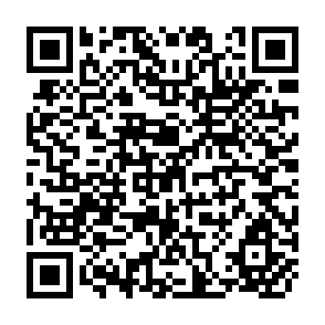 QR Code for Development Policy in Small Countries