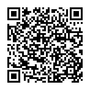 QR Code for Macroeconomics Systems