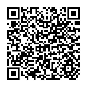 QR Code for Econominc Integration among Developing Countries