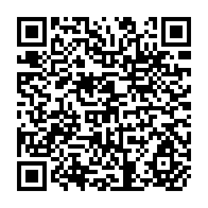QR Code for Mass Media Manual