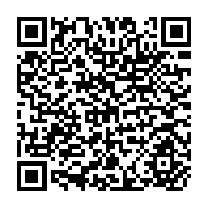 QR Code for The Structuralist Approach to Development Policy