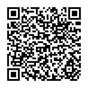QR Code for Remaking Asia