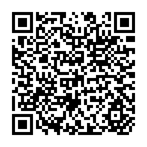 QR Code for Food Supply and Economic Development- With Special Reference to Egypt