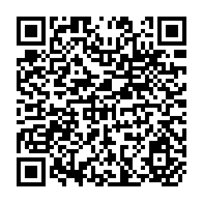 QR Code for Development strategies for small farmers