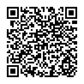 QR Code for Project Appraisal in Practice