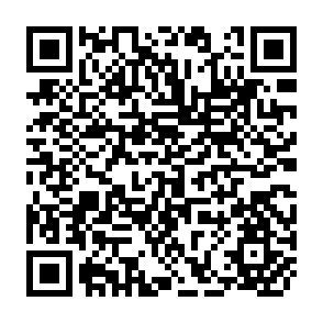 QR Code for Concepts in Social & Political Philosophy