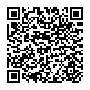 QR Code for Income Distribution and Employment Programme - Les Disparites de Revenus Entre Salaries et Travailleurs Independants Dans Les Secteurs Non-Agricoles au Senegal, Cameroun, Madagascar et Cote-D'ivoire