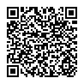 QR Code for Income Distribution and Employment Programme - The Rich, the poor and the taxes they pay in India: A study of Central Government Taxes and their Impact on Income Distribution and Patterns of Consumption