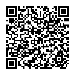 QR Code for Income Distribution and Employment Programme - Income Distribution and Employment Characteristics: Hong Kong 1971