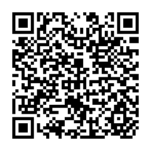 QR Code for Bibiliography on Income Distribution (Volume I)