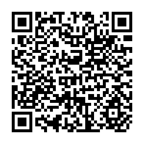 QR Code for Income Distribution and Employment Programme - Bibliography on Income Distribution (Volume II)