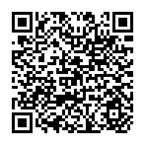 QR Code for Income Distribution and Employment Programme - Health, Employment and Income Distribution