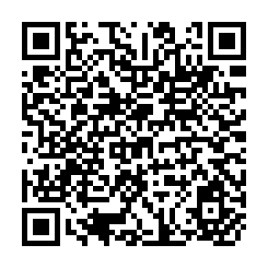QR Code for Urbanisation and Employment Programme- Income Distribution and Employment Programme- Urban Development, Income Distribution and Employment in LAGOS