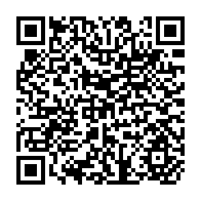 QR Code for Income Distribution and Employment Programme - A Note on Income Distribution and Poverty in Trinidad and Tobago